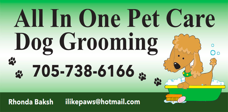 Logo-All In One Pet Care Dog Grooming