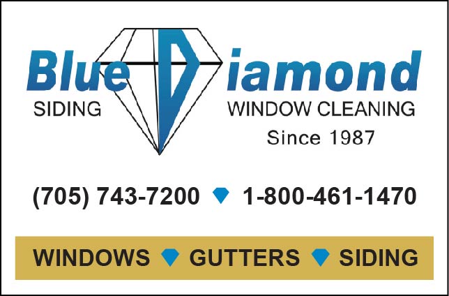 Logo-Blue Diamond Window Cleaning