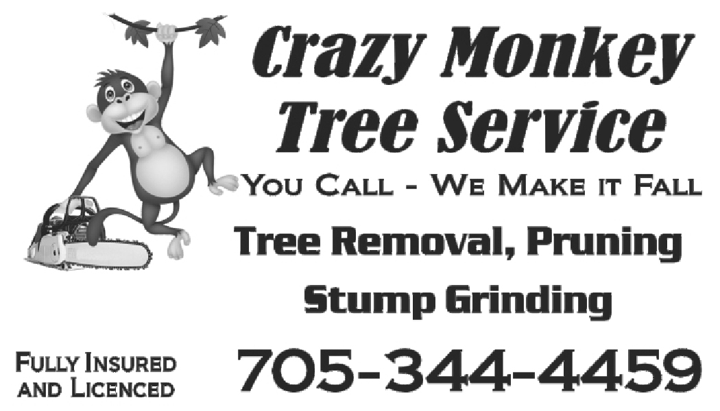 Logo-Crazy Monkey Tree Service